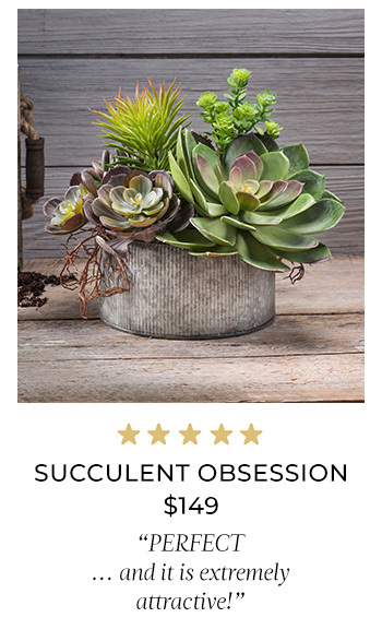 Succulent Obsession Artificial Foliage Planter, Available at Petals.