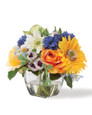 Gerbera Daisy, Rose & Cornflower Accent