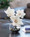 Tree Magnolia Faux Flower Accent - Desktop Decor