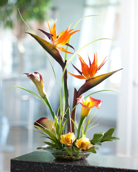 Bird of Paradise & Calla Lily