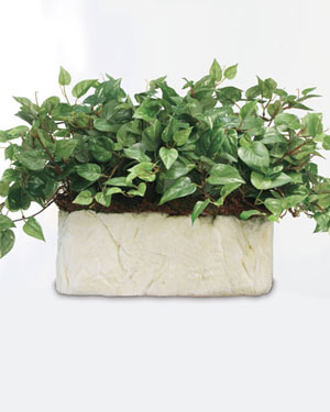 No Container-Foam Base ( FREE ) + $0.00