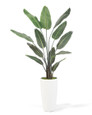 Paradise Palm Floor Ship-Shape Faux Plant, available at Petals.