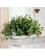 Silk Pothos Plant in Oval Container