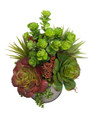 String of Pearls & Jade Artificial Succulent Arrangement