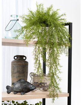 Cascading Springerii Artificial Fern Plant