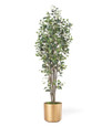 Greenhouse Silk Ficus Tree by Petals.