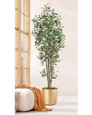 Greenhouse silk ficus by Petals.