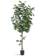 7' Single Trunk Fiddle Leaf Fig<br>Silk Tree